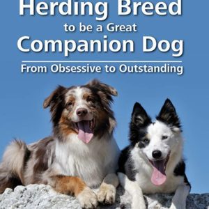 Teach Your Herding Breed To Be A Great Companion Dog - From Obsessive To Outstanding