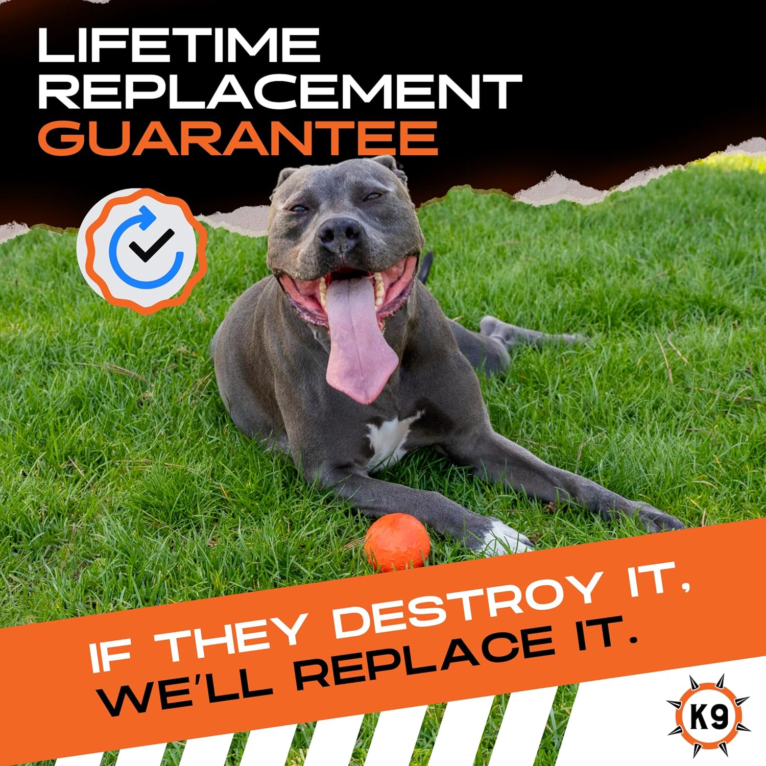 Monster K9 Indestructible Dog Ball - Image 6