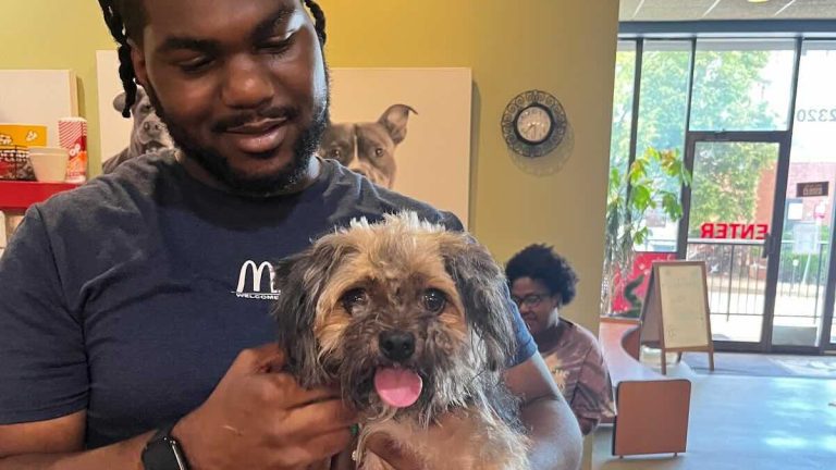 Miracles Happen’: Lost Dog Walks Into Auto Shop, Reunites With Family a Year Later