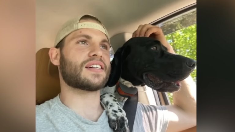 Dog helps owner after cliffside fall