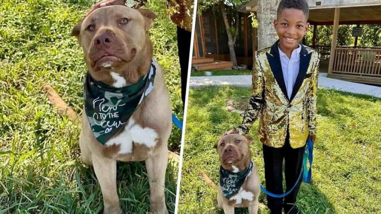 Boy Wears Gold Tux to Adopt the Dog He Always Dreamed Of