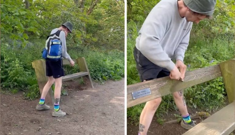 Kind-hearted Stranger Restores Memorial Bench Honoring a ‘Good Dog’