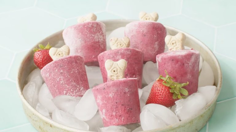 dog pupsicle recipe