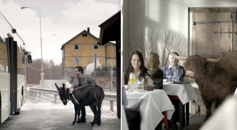 norweigan PSA for guide dogs