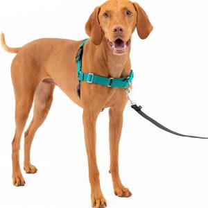 PetSafe Easy Walk Harness for Dogs
