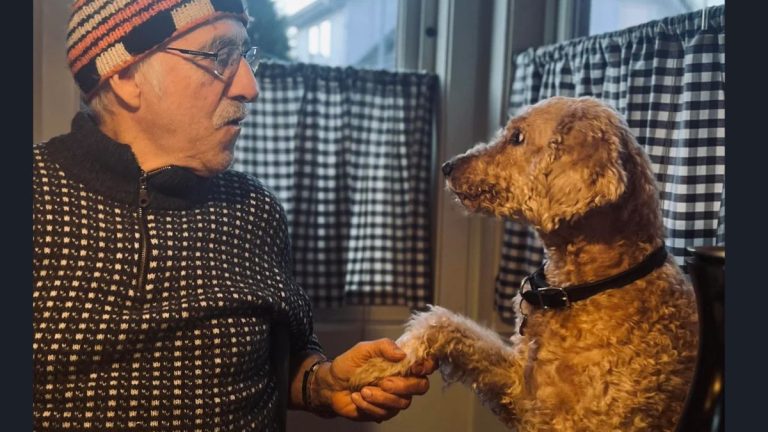 Dad and Dog Share Heartwarming Breakfast Tradition Every Morning