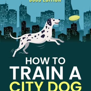 How to Train A City Dog