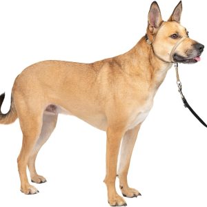 PetSafe Gentle Leader Headcollar No-Pull Dog Collar
