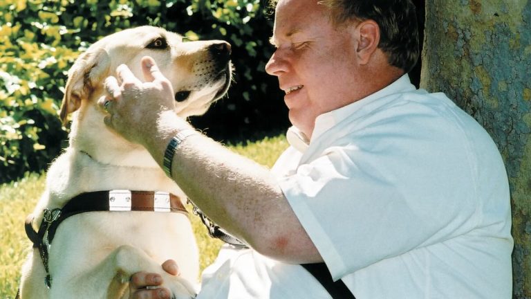 Roselle guide dog during 9/11