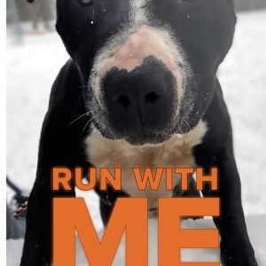 Run With Me: A story of two shelter dogs