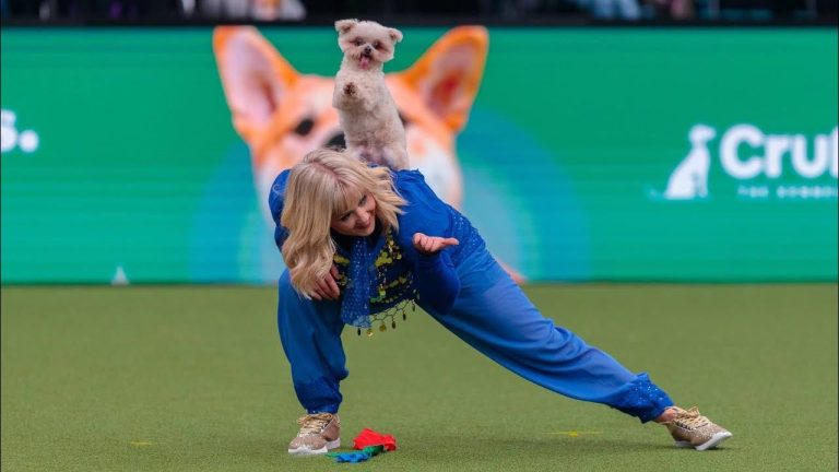 Tiny Dog Wins Crufts Freestyle Competition with Magical Aladdin Performance
