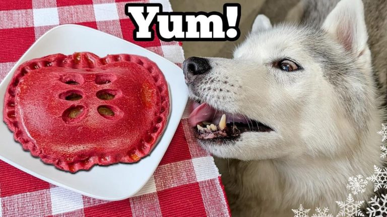 How to Make Tasty Apple Turnovers for Dogs