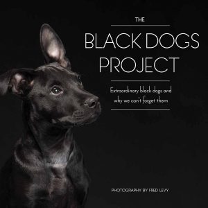 The Black Dogs Project: Extraordinary Black Dogs and Why We Can't Forget Them
