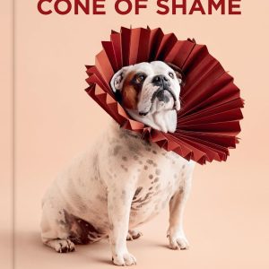 Cone of Shame