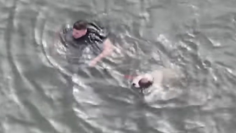 officer saves dog in chilly bay