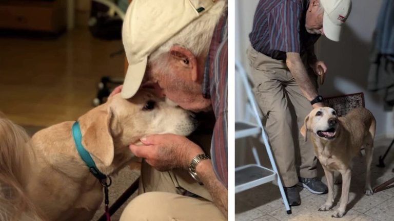 Norm and Sunny reunited.