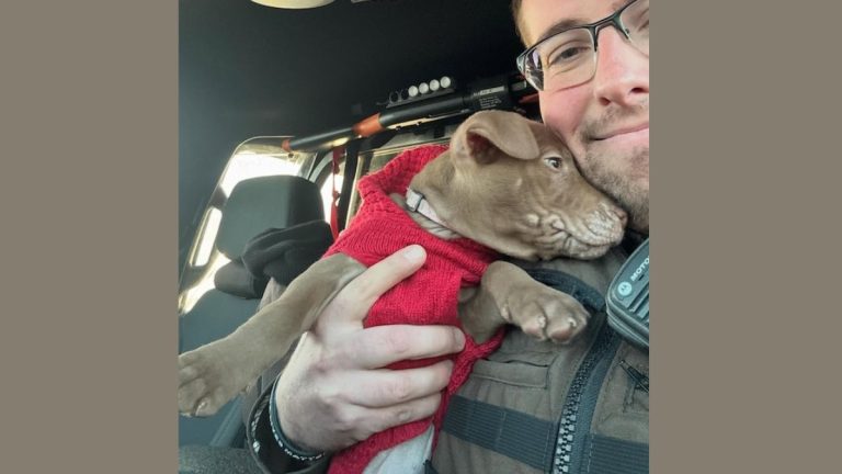 North Dakota Trooper Rescues Puppy Abandoned After Driver Flees Crash
