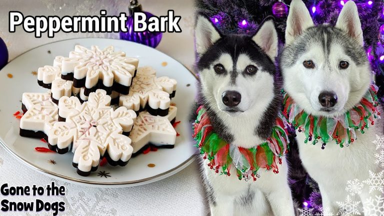 How to Make Delicious Peppermint Bark for Dogs