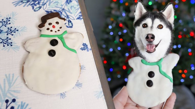 How To Make Festive Snowman Cookies for Dogs