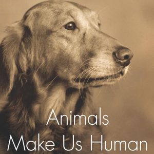Animals Make Us Human