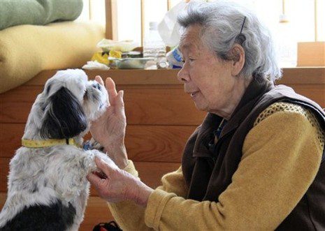 Shih Tzu Saves Elderly Woman From Tsunami