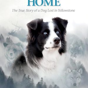 Bring Jade Home
