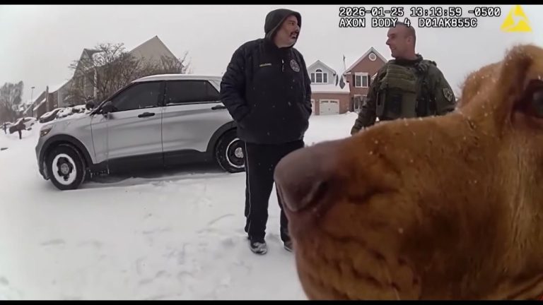 K-9 Bloodhound Finds Missing Autistic Teen During Snowstorm