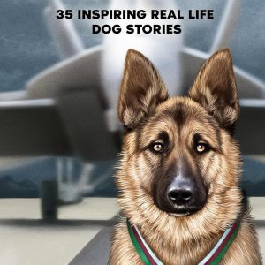 Dog Heroes