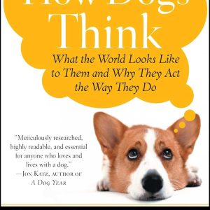 How Dogs Think: Understanding the Canine Mind