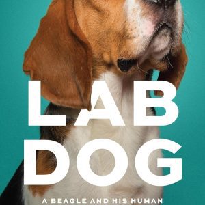 Lab Dog