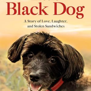 Little black dog