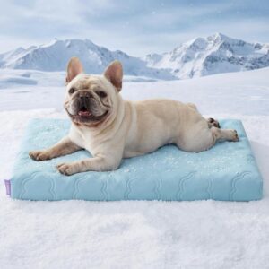 LE SURE Orthopedic Cooling Dog Bed
