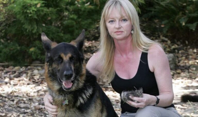 Woman Fined For Leaving Dog Fur In Park Questions Intentions Of Wardens