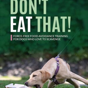 Don't Eat That: Force-Free Food Avoidance Training for Dogs who Love to Scavenge