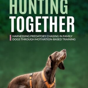 Hunting Together: Harnessing Predatory Chasing in Family Dogs through Motivation-Based Training