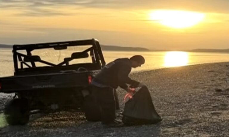 Mysterious Discovery of Dozens of Dead Canines Found Washed Ashore On Beaches Raises Concern in Washington Community