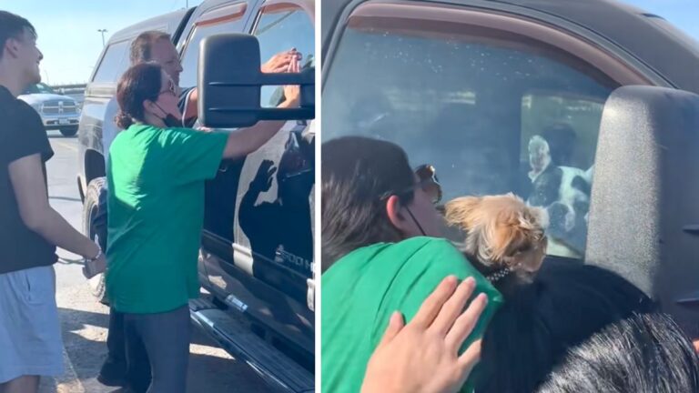 Dog Locks Herself in the Car and Then Falls for the Funniest Trick