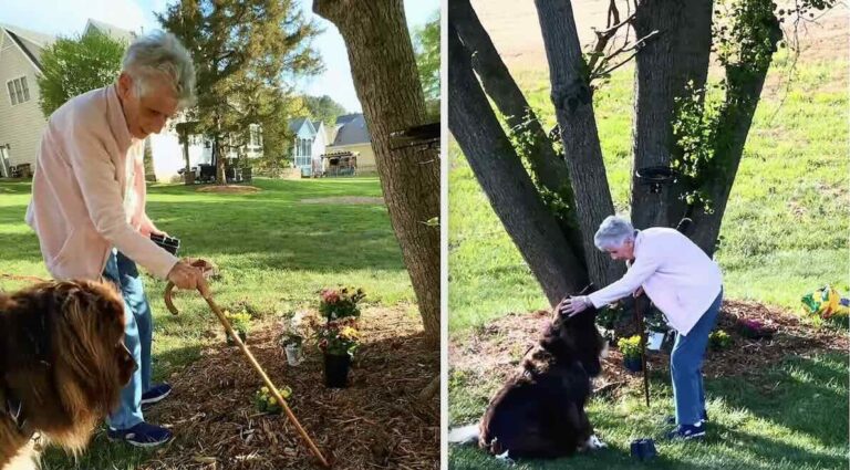 Dog Adorably Helps Grandma With Gardening In Viral Video