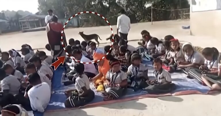 Street Dog Sacrifices Her Life To Save 30 Schoolchildren From Deadly Snake