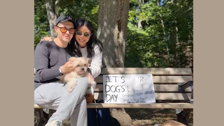 Couple Takes Their 15-Year-Old Dog with Dementia to Park for His Last Day