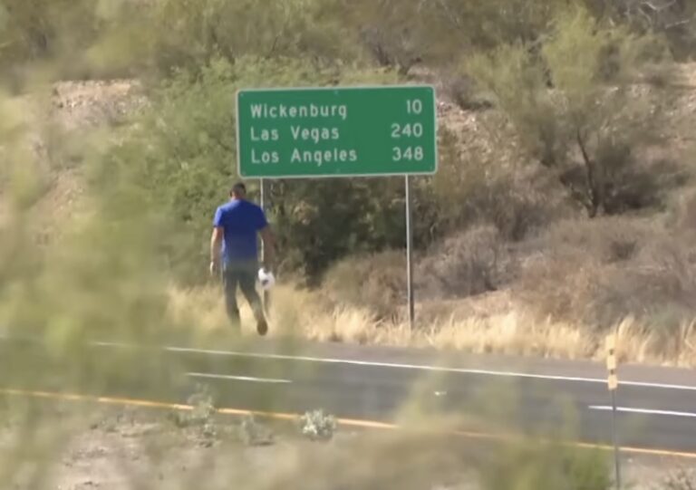 Arizona Marine Walks Miles To Save Family Dogs From Wildfire After Highway Closed