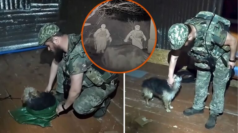 Ukrainian Soldiers Evacuate Dog and Cat From Front Line of War Using Drone
