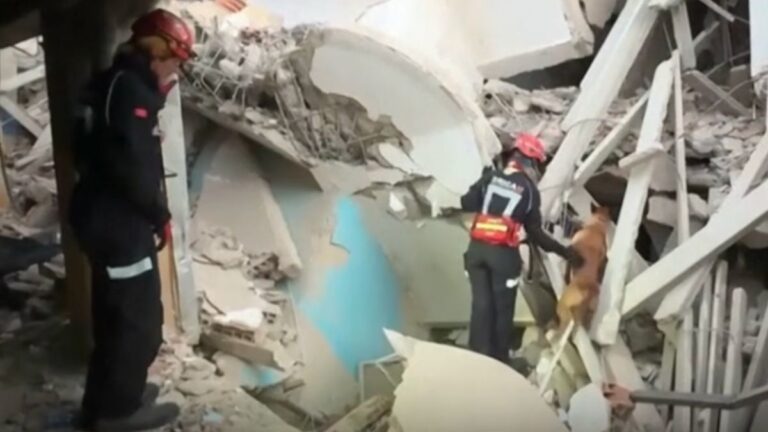 Search and Rescue Dogs Race Against Time to Find Earthquake Survivors in Venezuela