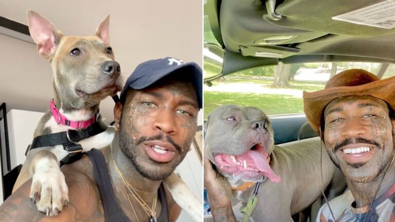 Kind Man Takes Shelter Dogs On ‘Pit Bull Car Pool’ To Help Them Find Homes