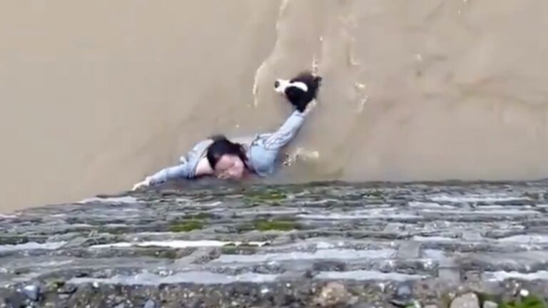 Woman Rescues Her Dog From Raging Floodwaters in China After Refusing to Let Go