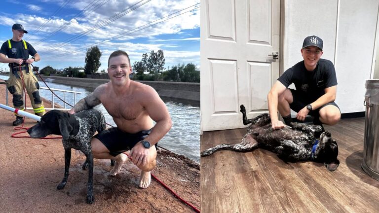 Dog With Epilepsy Missing After Monsoon Rescued From Canal By Arizona Firefighters